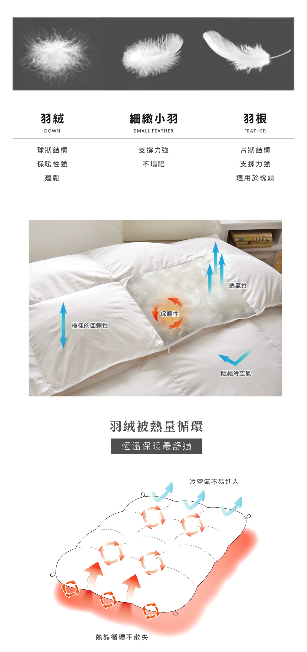 棉被床包團購》格蕾寢飾La Belle暖暖被、羽絨被、純棉防蟎抗菌床包,超多款漂亮眠柔舒服~ - 第32張圖 棉被床包團購》格蕾寢飾La Belle暖暖被、羽絨被、純棉防蟎抗菌床包,超多款漂亮眠柔舒服~